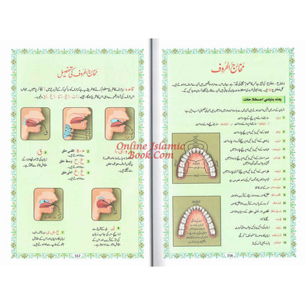 Tajweedi Quran with Urdu Tajweed Rules 16 Lines 8.5 x 6.0 Inch (7B) Hafzi Tajweedi, Medium Size,Standard Print - Dar Al-Tawhid Publications