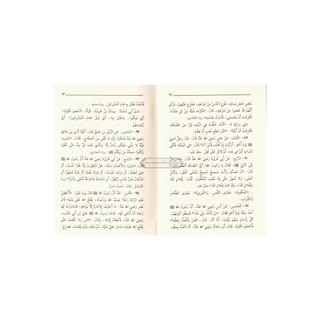 Riyad us-Saliheen (Arabic Language) Small Size