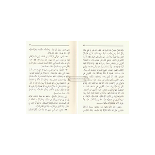 Riyad us-Saliheen (Arabic Language) Small Size