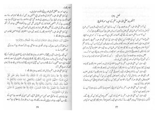 Mukhtasar Zaad-ul-Maaad (Urdu Language)