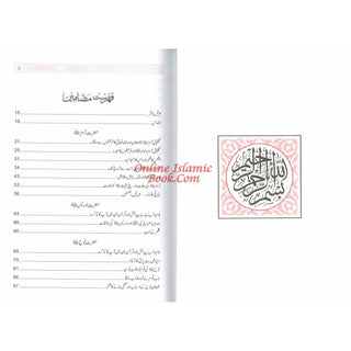 Qisas-ul-Ambiya Stories of The Prophets By Hafiz Ibn Kathir (Urdu Language)