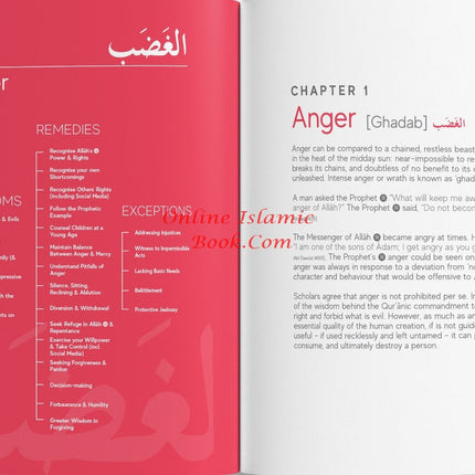 A Handbook Series of Spiritual Medicine and Accepted Prayers by Jamal Parekh (Ibn Daud) (Paperback Gift Box) - Dar Al-Tawhid Publications