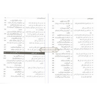 Hedayatul Qari Sharah Sahih Al-Bukhari (10 Vol Set) Urdu Language