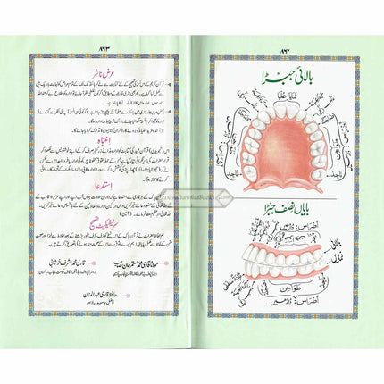 Holy Quran Colour Coded Tajweed Quran,13 Lines-Tajweedi Quran Ref H-36