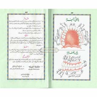 Holy Quran Colour Coded Tajweed Quran,13 Lines-Tajweedi Quran Ref H-36
