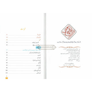 Islami Fatuhat ka Tabnak Dour(Urdu Language)اسلامی فتوحات کا تابناک دور