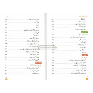 Islami Fatuhat ka Tabnak Dour(Urdu Language)اسلامی فتوحات کا تابناک دور