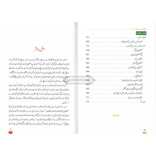 Islami Fatuhat ka Tabnak Dour(Urdu Language)اسلامی فتوحات کا تابناک دور