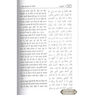 Riyad us-Saliheen Hindi