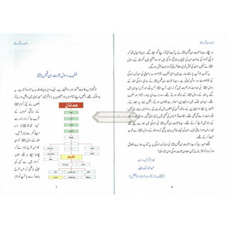 Sabit Bin Qais (Khateeb E Rasool) (Urdu Language) By Abdul Malik Mujahid