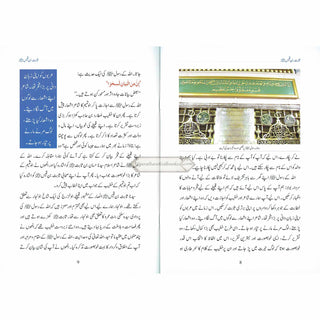 Sabit Bin Qais (Khateeb E Rasool) (Urdu Language) By Abdul Malik Mujahid
