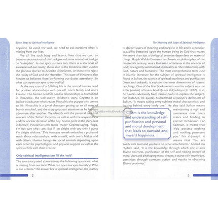 Seven Steps to Spiritual Intelligence by Musharraf Hussain