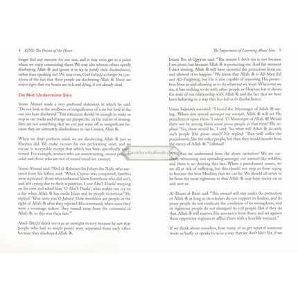 Sins: Poison of the Heart by Haifaa Younis