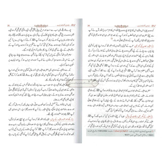 Tajalliyat-e- Nabuwat (Urdu Language) By Maulana Safi-Ur-Rehman Mubarakpuri