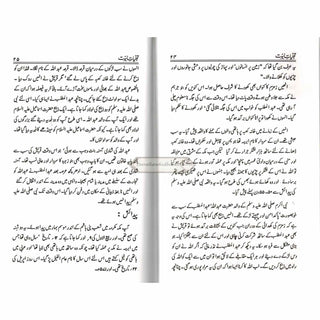 Tajalliyat-e- Nabuwat (Urdu Language) By Maulana Safi-Ur-Rehman Mubarakpuri