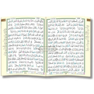 Tajweed Quran Colour Coded 6 Parts ( Pocket Version )