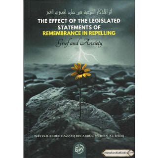 The Effects of the Legislated Statements of Remembrance in Repelling Grief and Anxiety