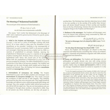 The Meaning of Islam: A Brief Explanation of the Most Important Principles & Teachings By Abu Iyad Amjad bin Muhammad Rafiq