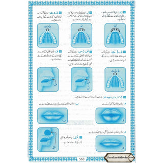 The Quran Arabic Only,16 Lines Pakistani / Indian/ Persian Script For Huffaz (Size 7.9 x 5.6 Inch) (Ref 7A) White Paper Blue Border,Medium Size