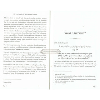 Wandering of Spirits and Souls by Shaykh Mart ibn Yusuf