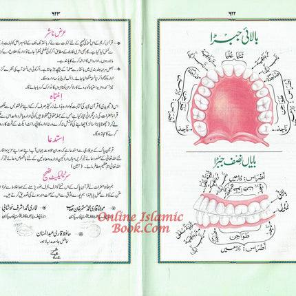 Holy Quran Colour Coded Tajweed Quran,15 Lines-Tajweedi Quran Ref H-24D Velvet Cover - Dar Al-Tawhid Publications