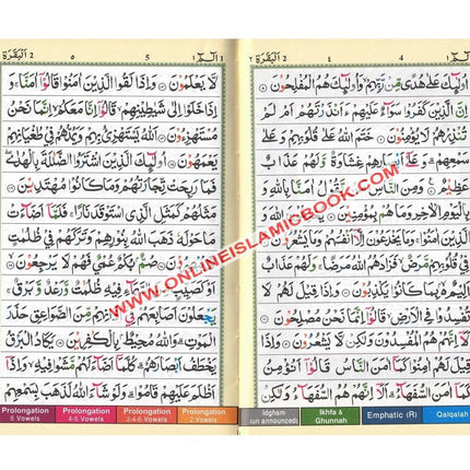 Tajweed Quran Colour Coded (Pakistani-Indian-Persian script) - Dar Al-Tawhid Publications
