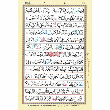 Al Quran ul kareem With Tajweed Rules (Persian/Pak/Indo Script) 13 Line Ref 23CC - Dar Al-Tawhid Publications